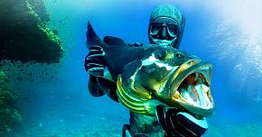 Правильный подбор перчаток для подводной охоты